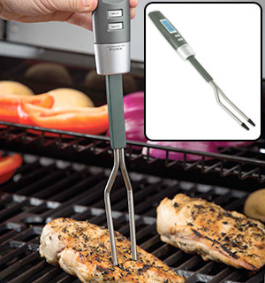 Digital Temperature Fork