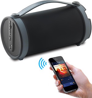 Indoor/Outdoor Portable Party Speaker