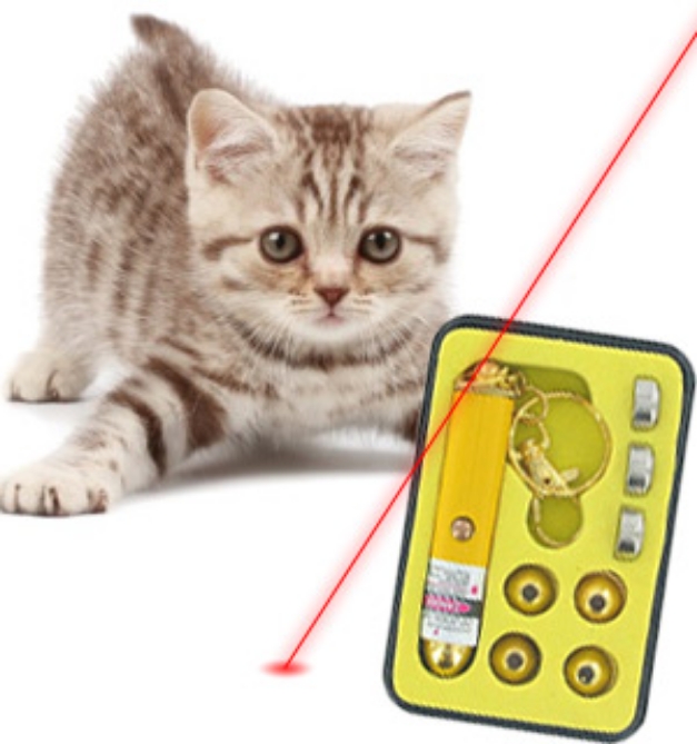 Picture 1 of Power Beam Laser Pointer