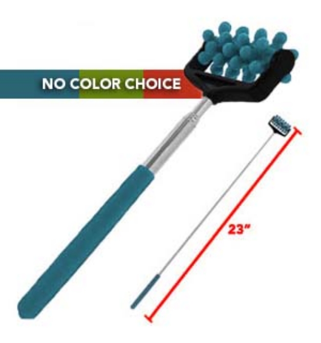 Picture 1 of Extendable Roller Massager