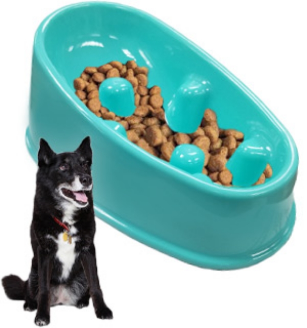 Picture 1 of Slow Feeder Bowl For Small Dogs and Cats