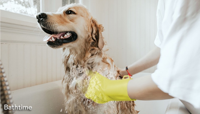 Picture 2 of FurZapper Pet Hair Grooming Glove