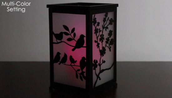 Add a stunning accent piece to your home with the Pacific Accents Metamorphis Interchangeable Lantern.