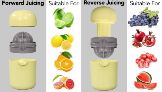 Citrus Juicer: Juice, Strain, & Store