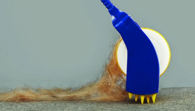 Picture 8 of The Original Sticky Buddy Reusable Lint Roller