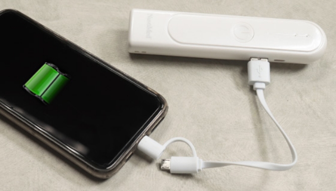 Picture 2 of Portable Germicidal UV Sterilizer Wand with Powerbank