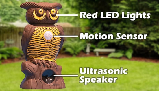 Introducing Owl Alert, the new way to target outdoor pests like raccoons, deer, squirrels, rabbits and mice, without harming them or your pets!