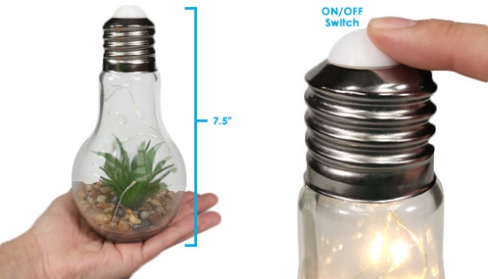 Add a modern decor piece to your home with the LED Succulent Glass Light Bulb!