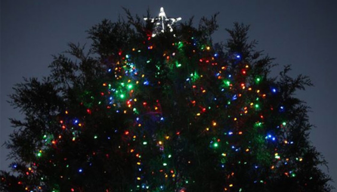Picture 3 of Multi-color 100LED Solar Strings Lights