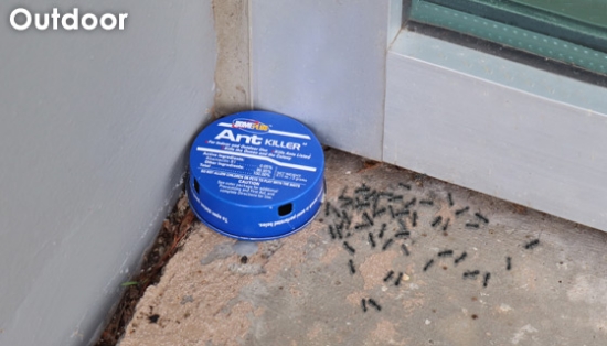 Ant problems will be a thing of the past when you get this 6-pack of Home Plus Ant Killer by Pic.