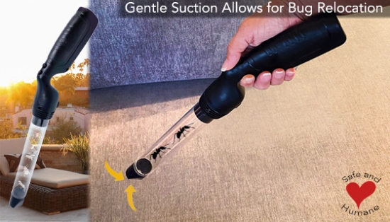 Handheld Electric Bug Vacuum with LED Light