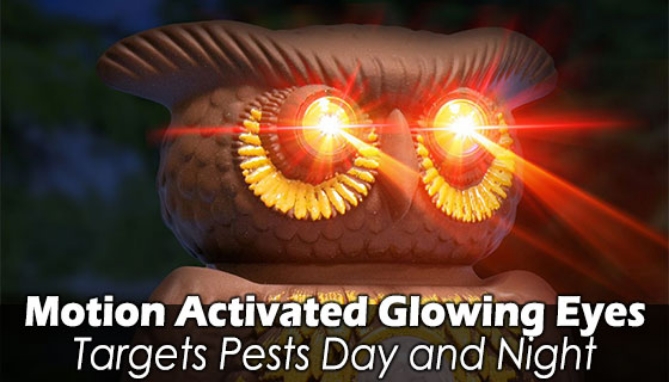 Picture 8 of Owl Alert Ultrasonic Pest Repeller