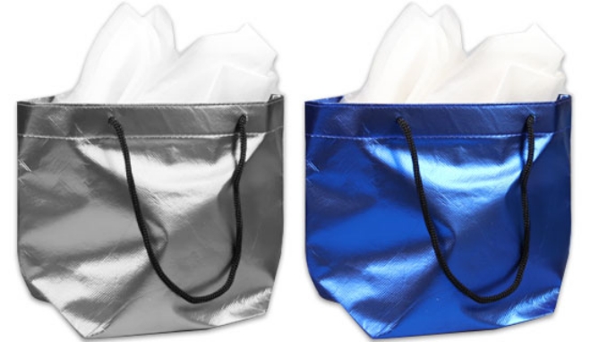 Large Metallic Gift Bag with Tissue Paper