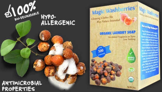 Magic Washberries&trade; is actually a soapberry nut that contain saponins which have been used for washing for thousands of years by native peoples in Asia as well as Native Americans.