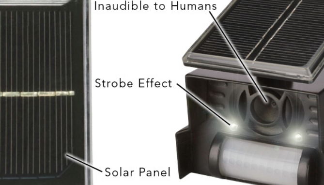 Sol-Mate Solar Powered Animal Chaser