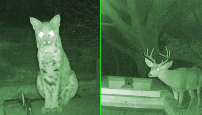 Picture 4 of Tuff Night Vision Monocular