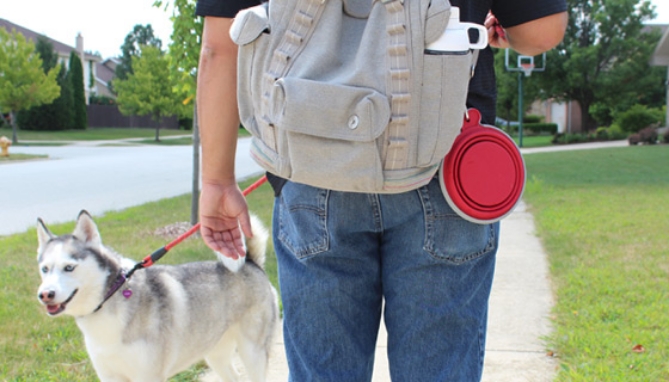 Feed your pet on-the-go with the Pop-Up Food & Water Bowl Set! The travel pet bowl's interlocking and collapsing design allows pet owners to walk their furry loved ones with ease.