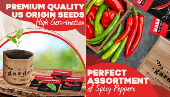 Spicy  Non-GMO Pepper Seed Starter Kit -  Everything You Need Is Included!