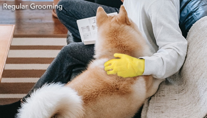 Picture 5 of FurZapper Pet Hair Grooming Glove