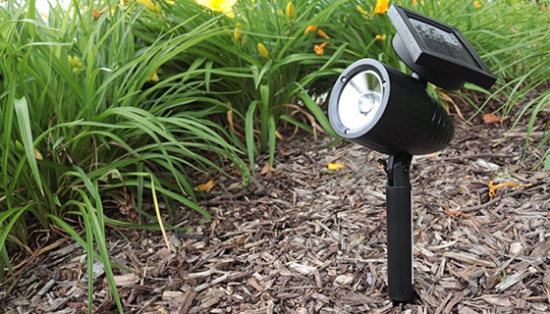 Looking to brighten up your lawn, garden and outdoor pathways? Then look no further than the Adjustable Focus Solar Garden Light.