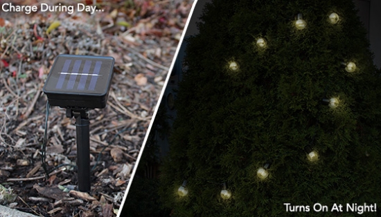 These 10 Bulb String Lights project warm white LED's ideal for indoor and outdoor use! Use them for decorating pergolas, patios, trees, garages, or any room for gorgeous ambient lighting.