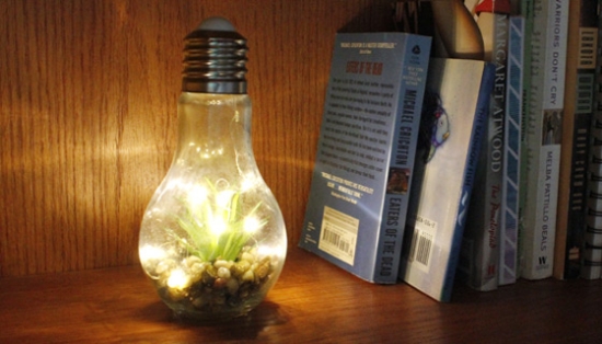 Add a modern decor piece to your home with the LED Succulent Glass Light Bulb!