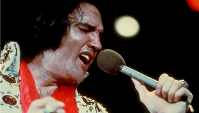 Elvis on Tour is the Golden Globe-winning Best Documentary chronicle of Presley's whirlwind 15-cities/15-nights 1972 tour. They are nights to remember, paced here with more than 25 musical numbers that embrace the rocker Elvis, the gospel Elvis, the ballad Elvis, even the kung-fu Elvis.