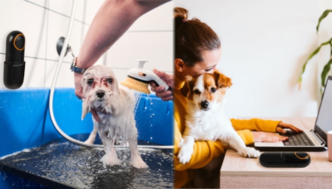 Picture 4 of Ultrasonic Bark Stopper for Dogs: Safe and Humane