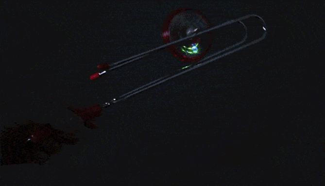 Picture 4 of Light Up Whirly Wheel