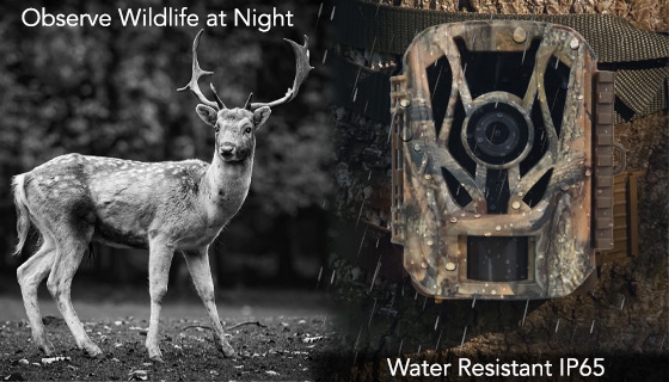 Picture 3 of Wireless HD Trail Camera with Night Vision Mode