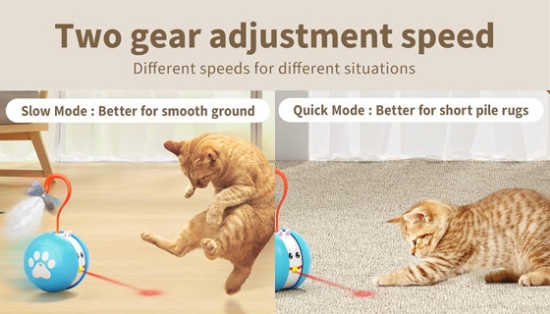 Crazy Laser Interactive Cat Ball