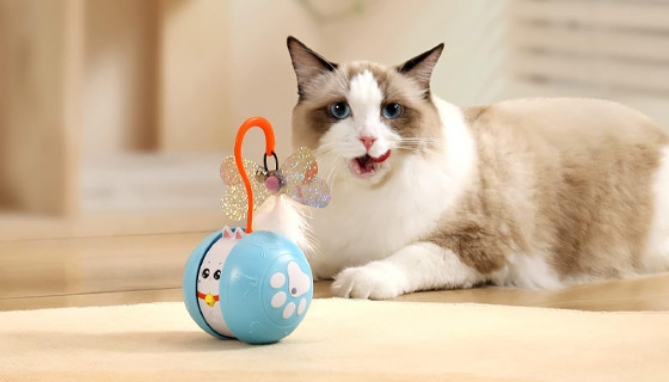 Picture 5 of Crazy Laser Interactive Cat Ball