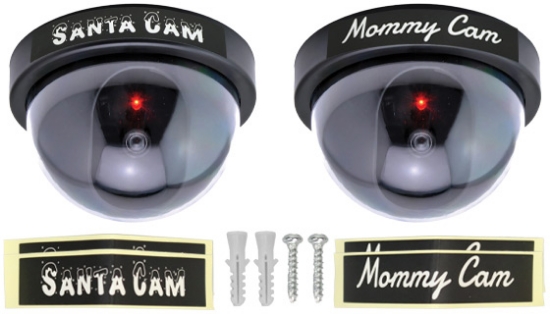 Faux Security Camera - Dome Style with Light 3-PK