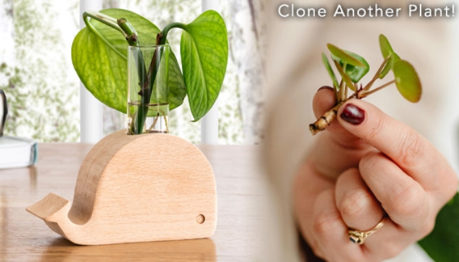 Picture 4 of Animal-Shaped Propagation Plant Cloning Vase