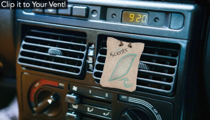 Picture 5 of Peppermint Scents Air Freshener & Aromatherapy Sachets (6-Pack)
