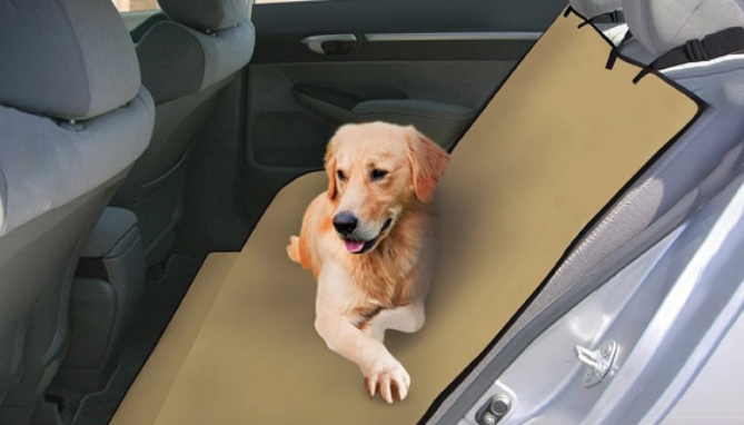 Auto Pet Seat Cover  (Dented Packaging)