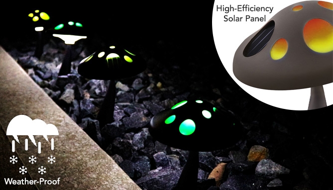Picture 4 of Mini Mushroom Solar Landscape Lights 2PK