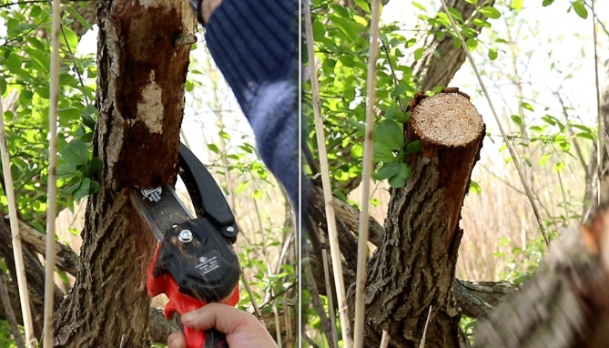 Picture 3 of Rechargeable 6in Handheld Chainsaw Kit