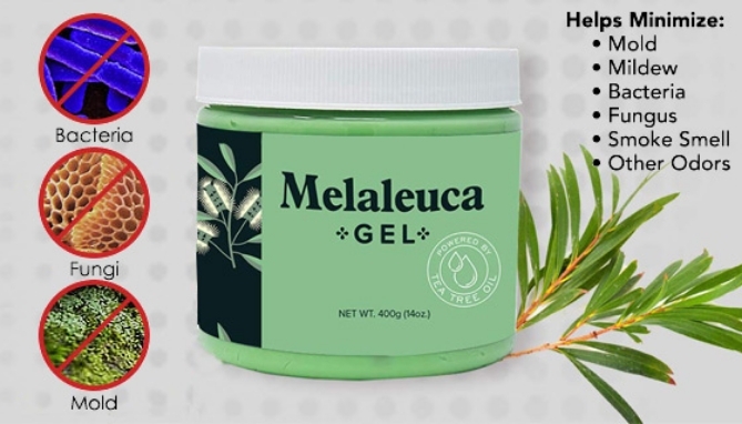Picture 3 of DENTED/Dinged: Safe-Tea Fresh Air Gel w/ Melaleuca (Tea Tree) Oil