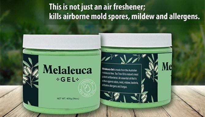 Picture 4 of DENTED/Dinged: Safe-Tea Fresh Air Gel w/ Melaleuca (Tea Tree) Oil