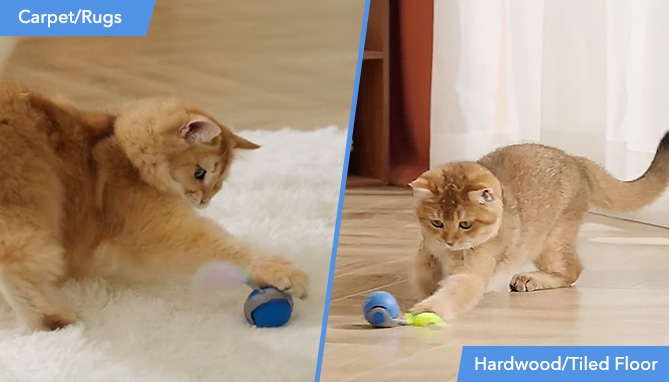 Picture 4 of Speedy Sprint Ball: Rechargeable Interactive Cat Toy by PetGravity