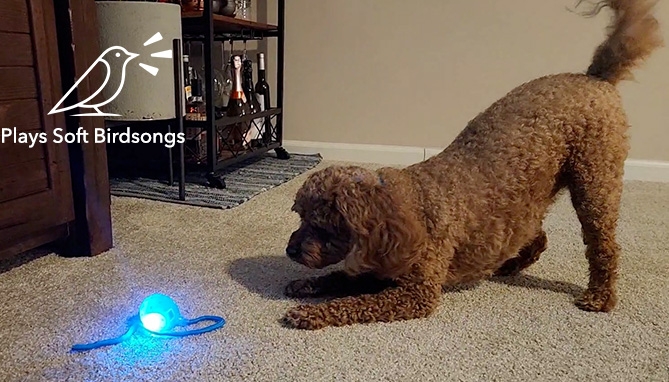 Picture 6 of Speedy Ball with Tail: Interactive Cat Toy