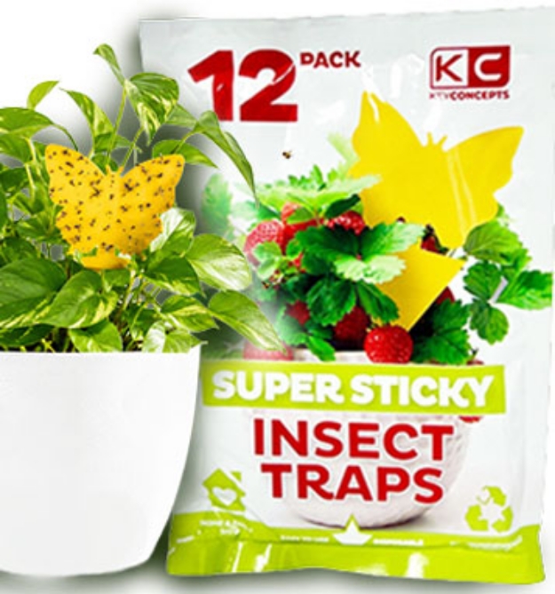 Picture 1 of Super Sticky Yellow Insect Traps for Plants 12pk
