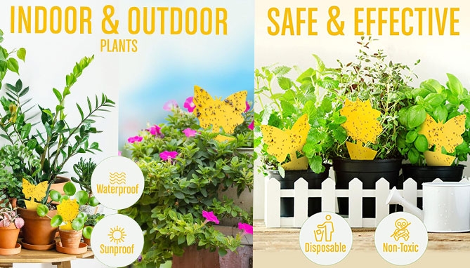 Picture 3 of Super Sticky Yellow Insect Traps for Plants 12pk