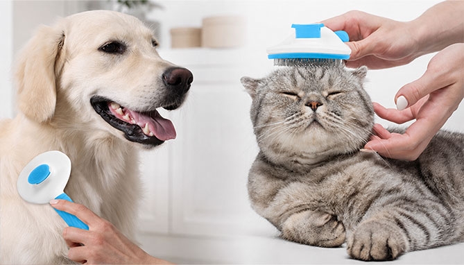 Picture 3 of Self-Cleaning Pet Brush
