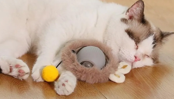 Picture 4 of Interactive Rolling Pet Toy with Accessory Kit