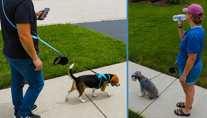 Picture 2 of Hands-Free Dog Leash With 16 Foot Retractable Lead Kit for Medium Pets