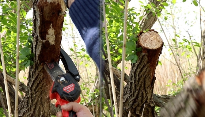 Picture 3 of Rechargeable 6in Handheld Chainsaw Kit