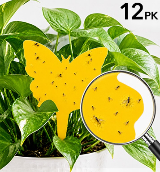 Picture 1 of Super Sticky Yellow Insect Traps for Plants 12pk