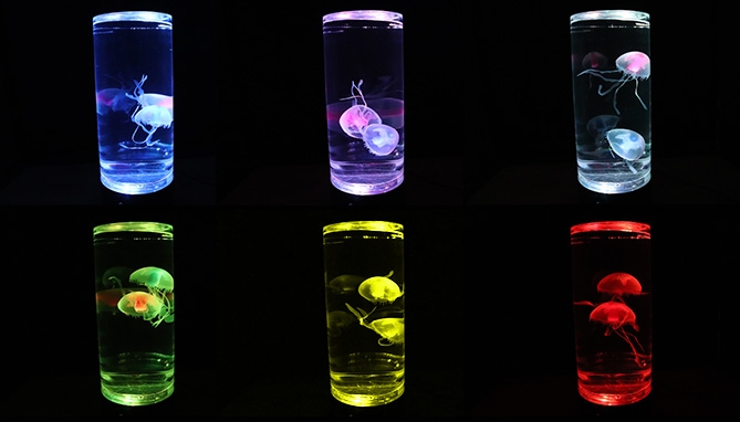 Picture 2 of 12" Realistic Jellyfish Aquarium Lamp With Color-Changing Tank